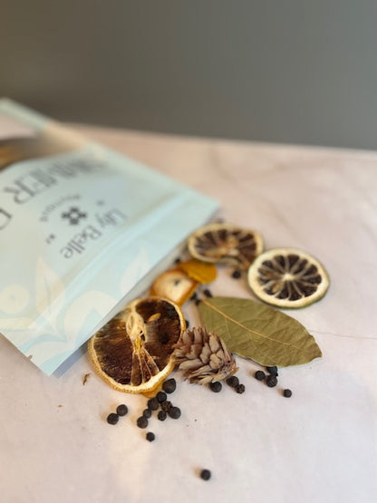 Energy Focus Simmer Pot | Lemon Lime Peppercorn Bay Leaves